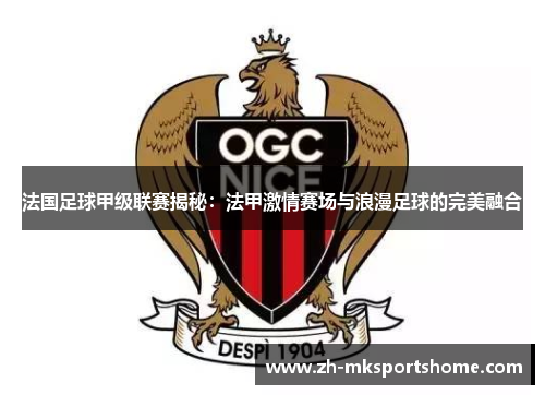 法国足球甲级联赛揭秘：法甲激情赛场与浪漫足球的完美融合